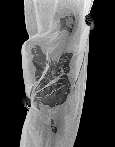 Photographic Image from Studies in Black by Tony Butcher